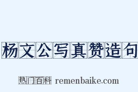 杨文公写真赞造句是什么意思的图片